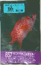 魚「海水編」