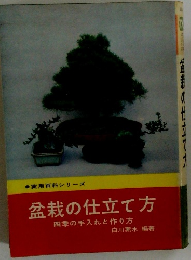 盆栽の仕立て方