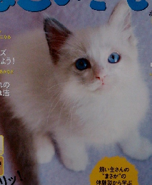 ねこのきもち　2013年8月号　Vol.99