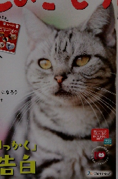 ねこのきもち　2016年3月号