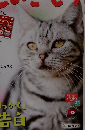 ねこのきもち　2016年3月号