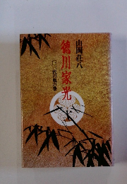 徳川家光　三代の風の巻