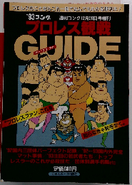 ’93ゴング プロレス観戦パーフェクトガイド