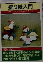 折り紙入門: 初めての人でも見ながら折れる