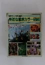 健康づくりに効果抜群 身近な薬草カラー図鑑