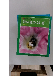 科学のアルバム 花の色のふしぎ