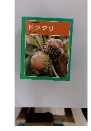 科学のアルバムドングリ