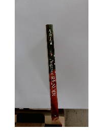 ルノワール展　1993年