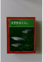 科学のアルバム メダカのくらし