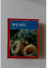 科学のアルバム　ヤドカリ