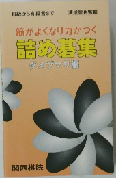 筋がよくなり力がつく詰め基集　ダメヅマリ編