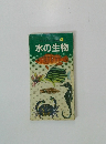 生ポケット関連　4　水の生物