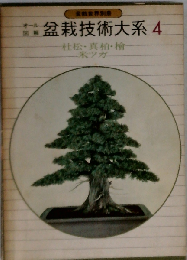 盆栽技術大系 4 杜松 真柏 桧 米ツガ