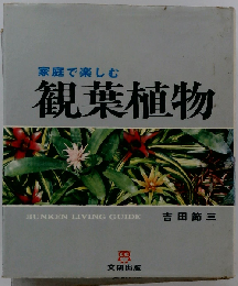 観葉植物ー家庭で楽しむ