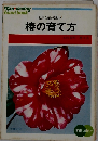 椿の育て方: 見事な花を楽しむ