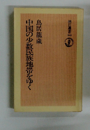 中国の少数民族地帯をゆく