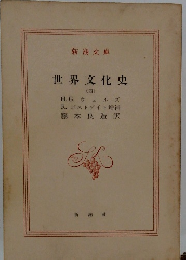 世界文化史　4　