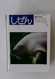しぜん　11