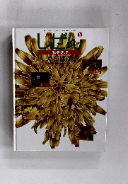 しぜん　1996年5月号