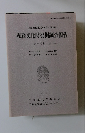 埋蔵文化財発掘調査報告