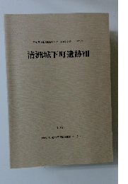清洲城下町遺跡VII　1997