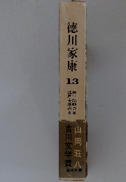 徳川家康13　泰平胎動の巻江戸・大坂の巻