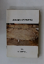 地下に眠る神戸の歴史展VI　1988