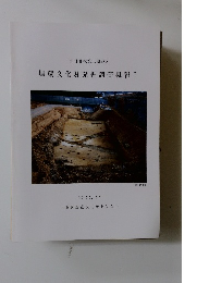 埋蔵文化財発掘調査概報　1