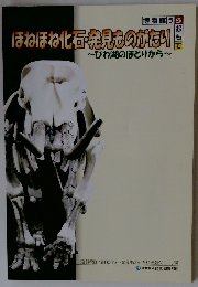 ほねほね化石発見ものがたり　~びわ湖のほとりから~