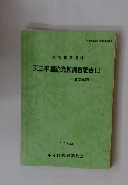 天王平遺跡発掘調査報告Ⅲ　第3次調査