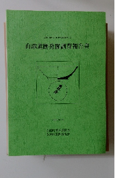 山添遺跡発掘調査報告書