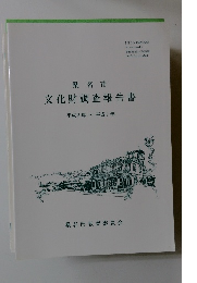 文化財調査報告書