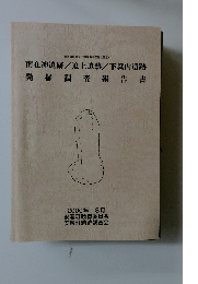 南在神遺跡/迫上遺跡/下箕内遺跡　発掘調査報告書　2000年 8月