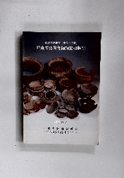 埋蔵文化財発掘調査概報VI