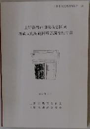 上野新都市開発構想区域　埋蔵文化財範囲確認調査報告書