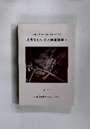埋蔵文化財発掘調査概報V　1995年　3月