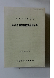 白山古墳群発掘調査報告書
