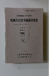 近畿自動車道(久居~勢和)埋蔵文化財発掘調査報告