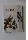名古屋市博物館企画展 川と遺跡