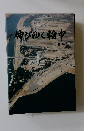 伸びゆく輪中　三訂版