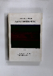 埋蔵文化財発掘調査概報 II　1990年3月号