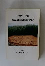埋蔵文化財発掘調査概報V　1993.3