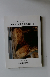 一般国道1号北勢バイパス　埋蔵文化財発掘調査概報　I　平成9年3月