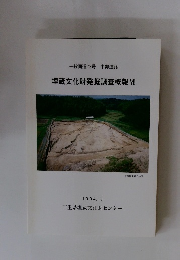 埋蔵文化財発掘調査概報VI