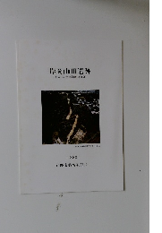 岸岡山Ⅲ遺跡-平成9年度発掘調査概要-