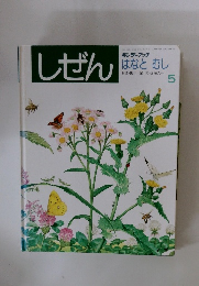 しぜん　1991年5月号