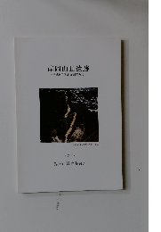 岸岡山Ⅲ遺跡-平成9年度発掘調査概要-