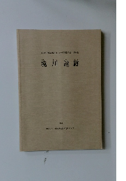 境川遺跡　1991年