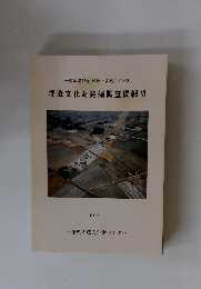 埋蔵文化財発掘調査概報　4　1996年3月号