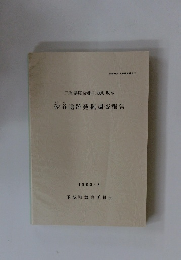 砂谷遺跡発掘調査報告